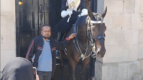 so many touching the reins #horseguardsparade