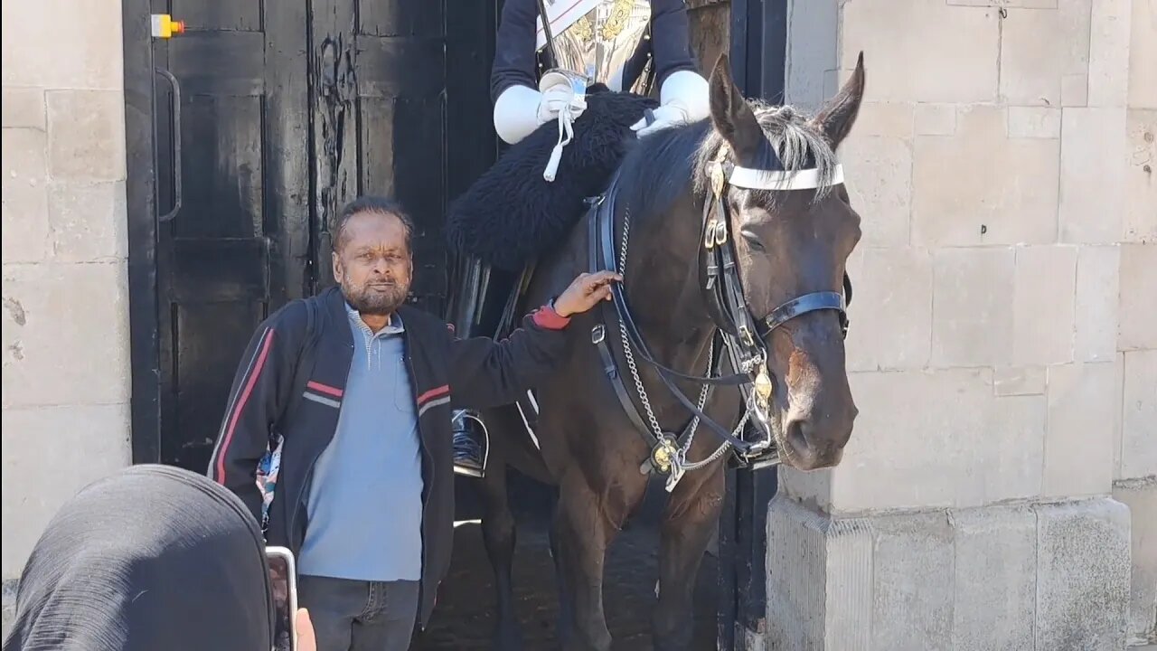 so many touching the reins #horseguardsparade