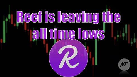 Reef is leaving the all time lows