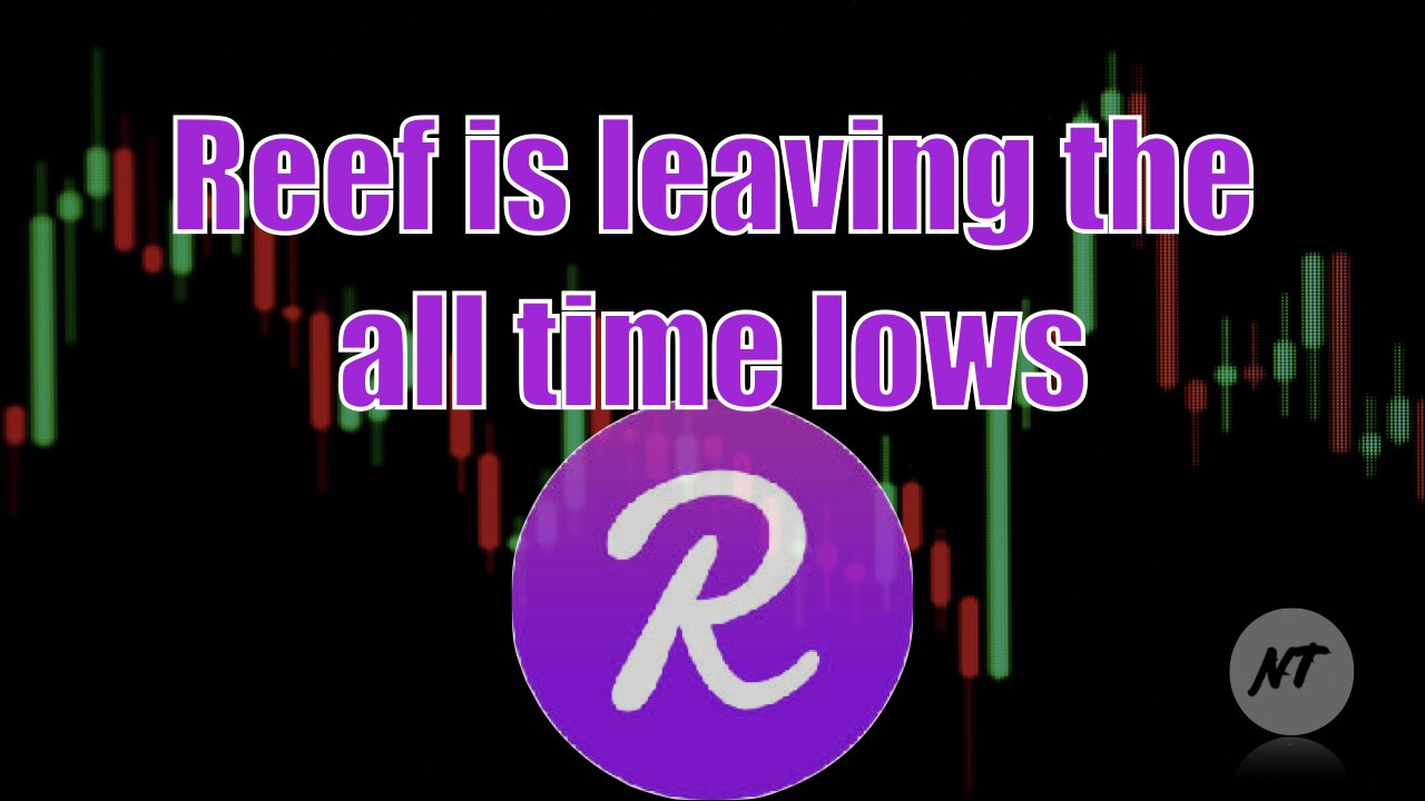 Reef is leaving the all time lows