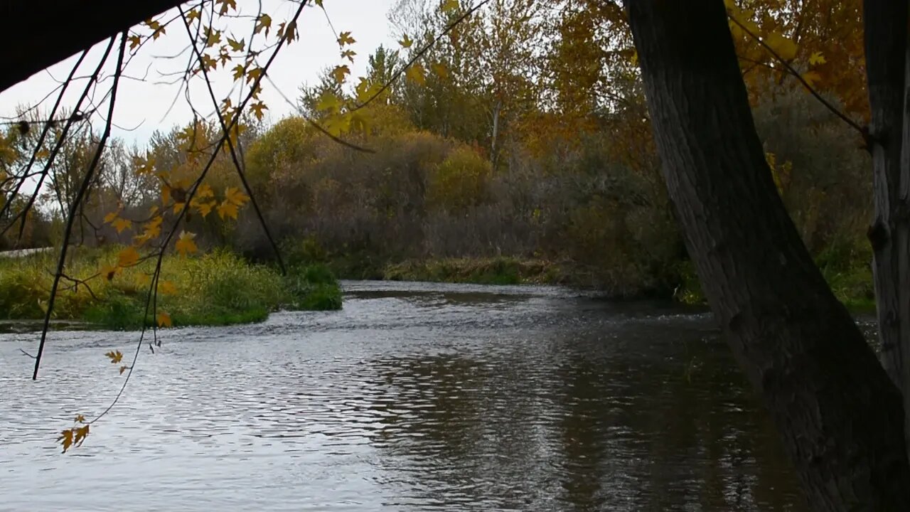 Winter's coming.... The Boise River in Fall is so Peaceful.