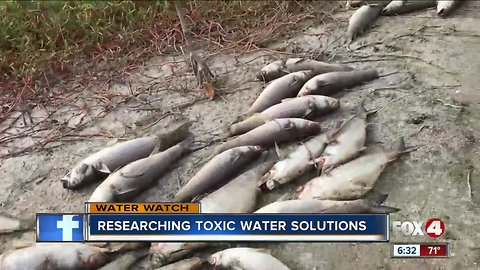 Let's Be Frank: Researching water toxic water solutions