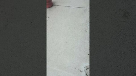#narcissistic #gangstalker DEMANDS an answer for what I'm spraying & why.