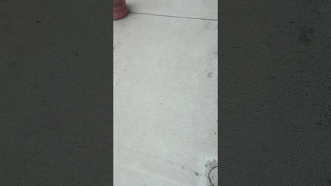 #narcissistic #gangstalker DEMANDS an answer for what I'm spraying & why.