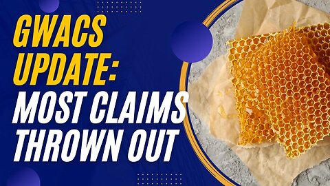GWACS Update: Court Slashes The Lawsuit, Dismisses Most Claims -- A Lawyer Explains