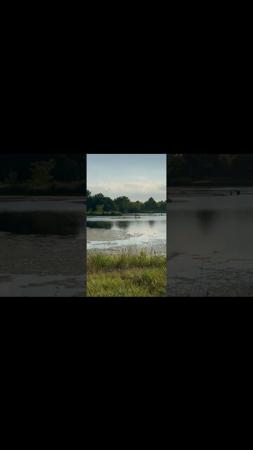 Thought 💭 Reflection By The Pond #outdoors