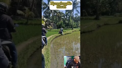 Ngemplung ke sawah #ngakakkocak #tahanketawa #funnyvideo #funny #lucungakak