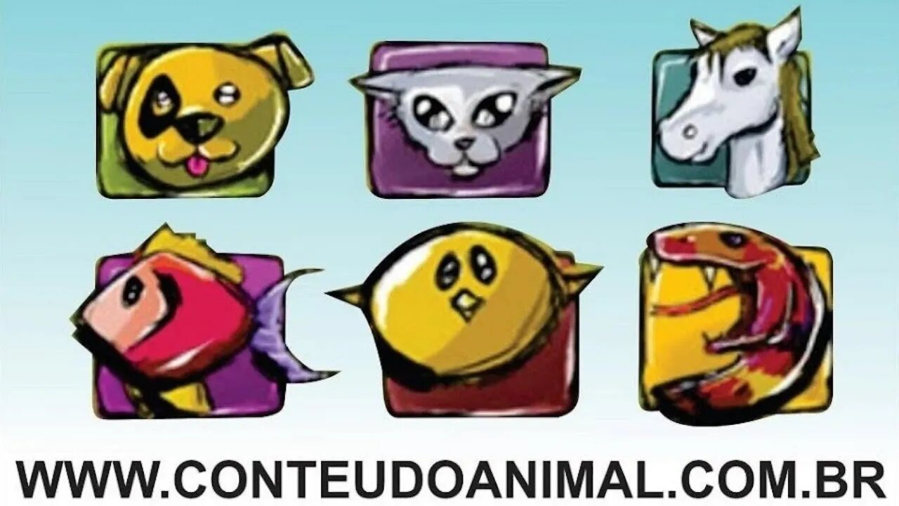 por que o canal se chama conteudoanimal :-) live na vertical ... pq youtube dificultou as coisas kkk