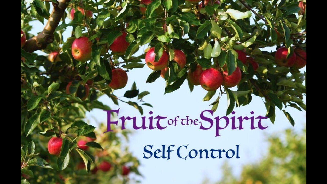 Fruit of the Spirit — Self Control