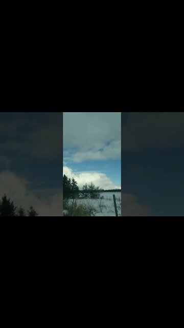 #winter #ohhighbud #timelapse