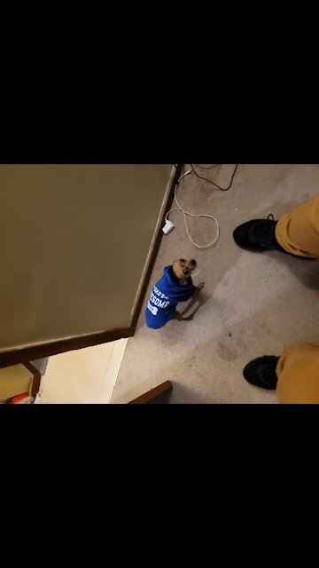 Let's go Brandon I mean jill too