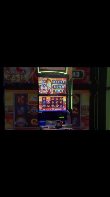 Let's Get Some Kangaroos! #shorts #shortsvideo #jackpothandpay#handpay