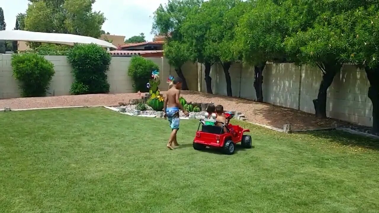 Toby, Milo, Sadie