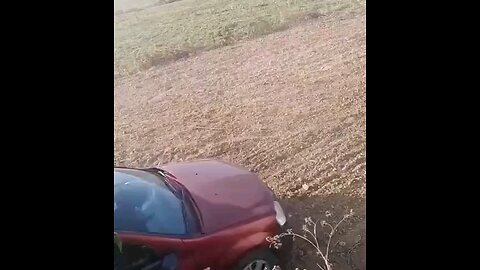 funny videos