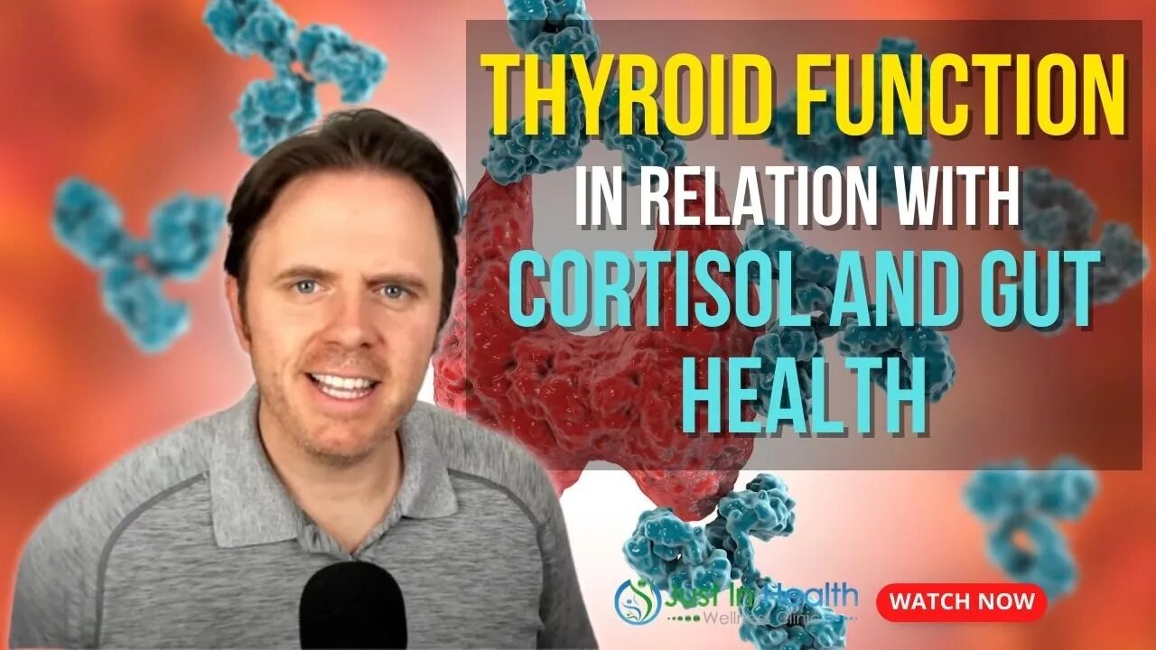 Thyroid Function in Relation with Cortisol and Gut Health