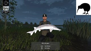 Fishing Planet San Joaquin Delta White Sturgeon