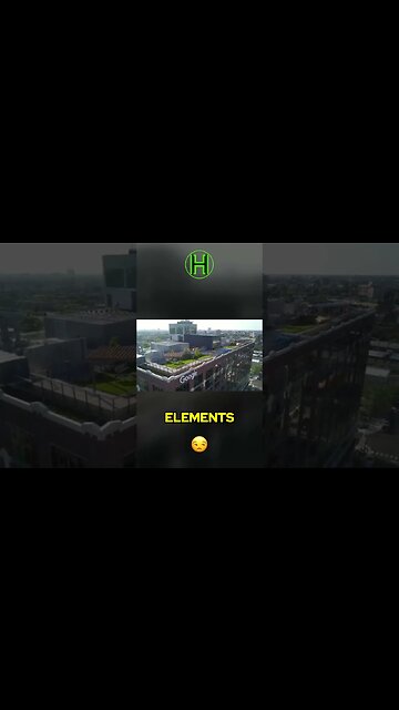 Behind Googles Success The Untold Story of Campbell and its Surprising Connections