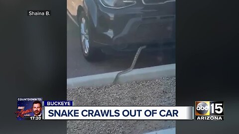 Snake crawls out of Valley woman's car