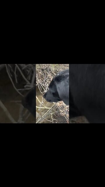 Your brain needs water