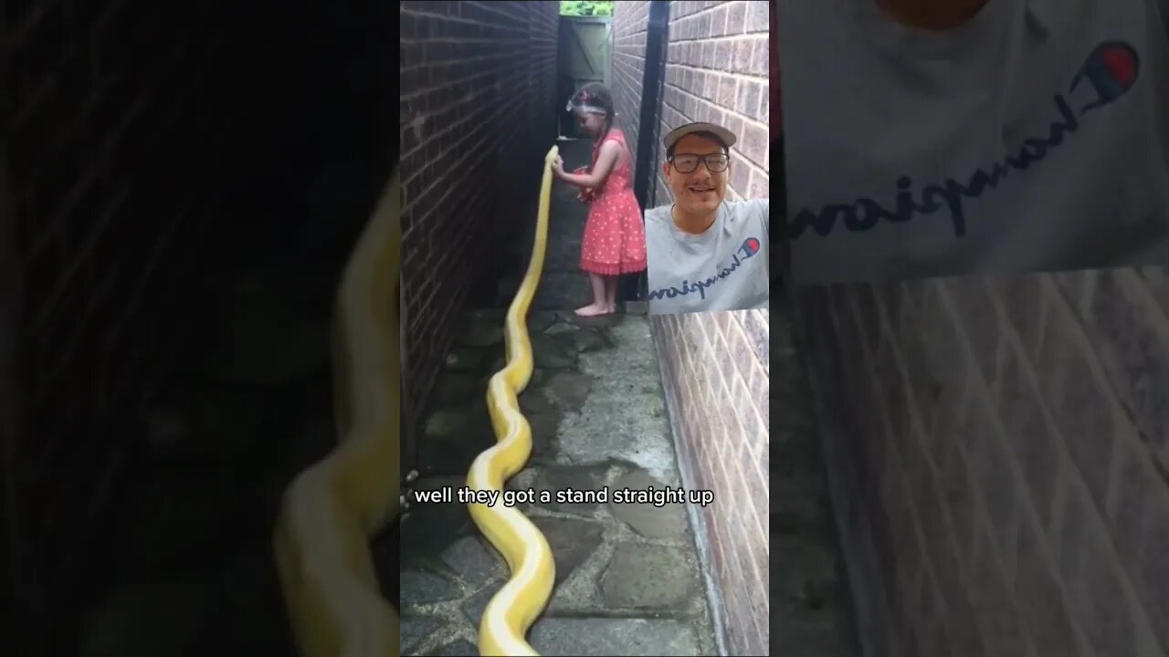 Why do snakes pariscope?