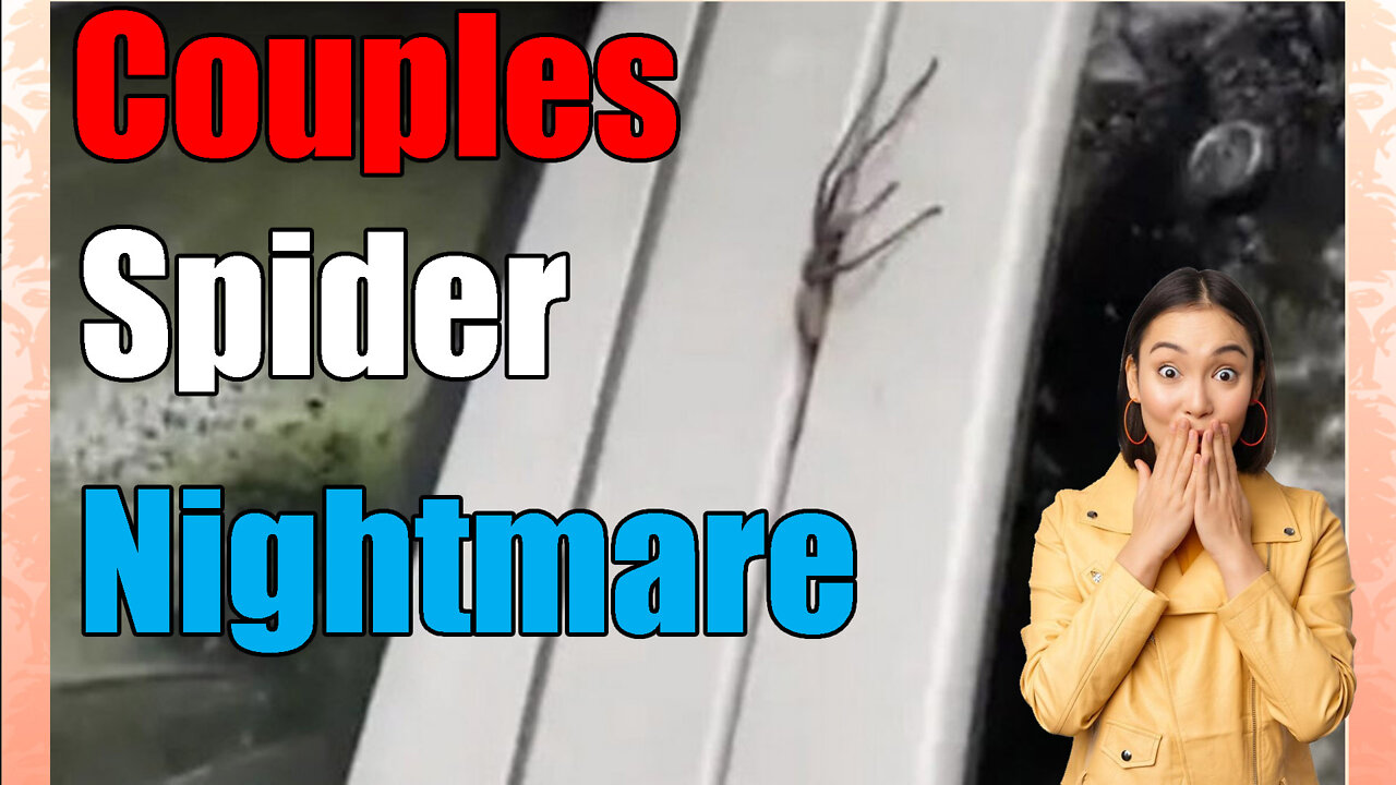 Couples Van Infested with Australian poison spiders🕷