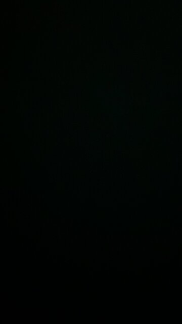 Harris Walz campaign