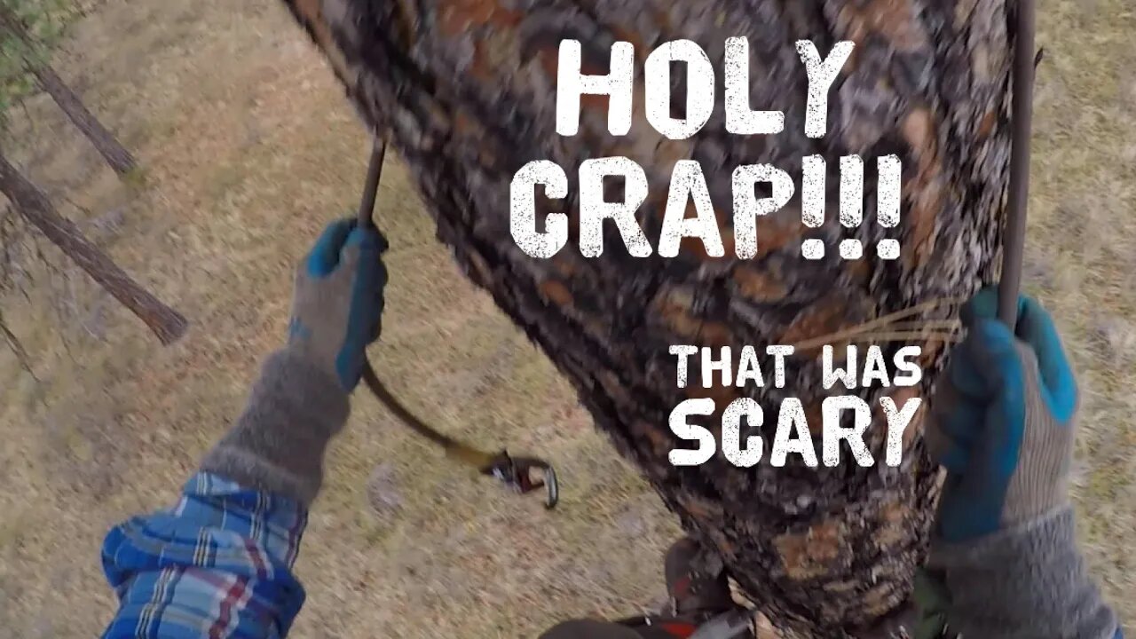 Close call : ISC Triple snap malfunction while 30ft up a tree