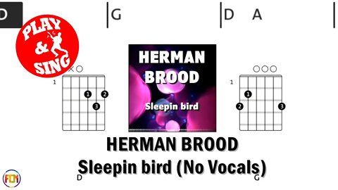 HERMAN BROOD Sleepin bird 1987 FCN GUITAR CHORDS & LYRICS NO VOCALS