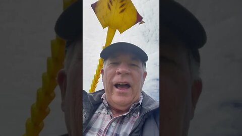 E85021C6 886C 4DB9 BAD1 15FB131A92ED