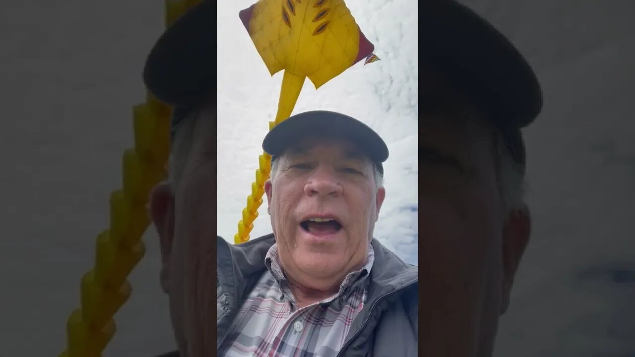 E85021C6 886C 4DB9 BAD1 15FB131A92ED