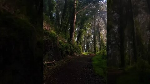 Away from the bustle of the city