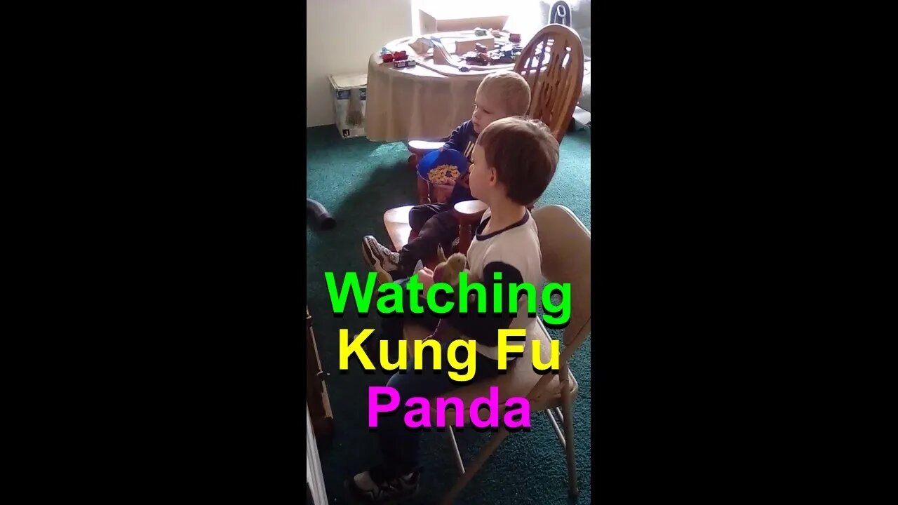 No. 611 – Grandsons Watching Kung Fu Panda #Shorts