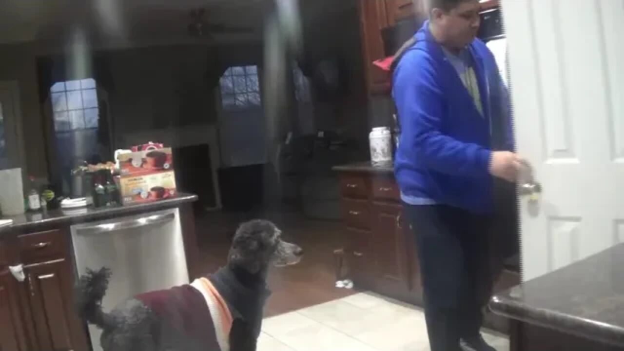 Untitled video Made with Clipchamp feeding the dog on a winter night