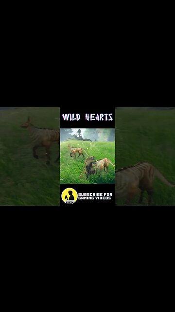 WILD HEARTS [SHORTS 011]