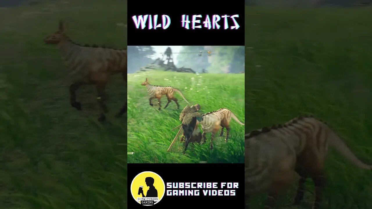 WILD HEARTS [SHORTS 011]