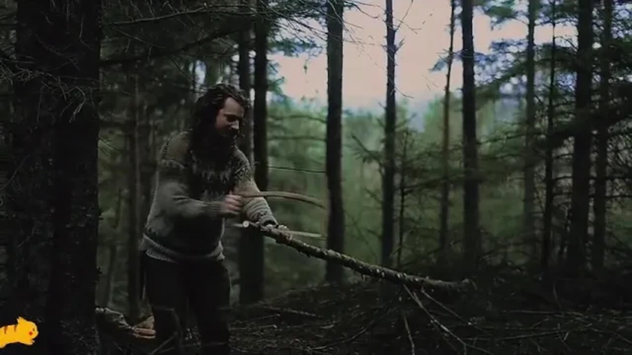 Camping, chopping firewood, making a fire, cooking smoke, living alone in the mountain forest, who s