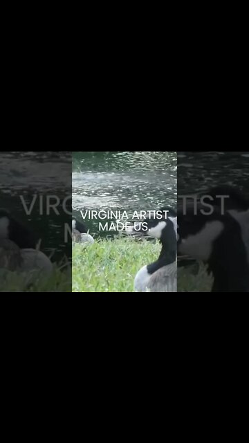 VIRGINIA MADE US #shorts