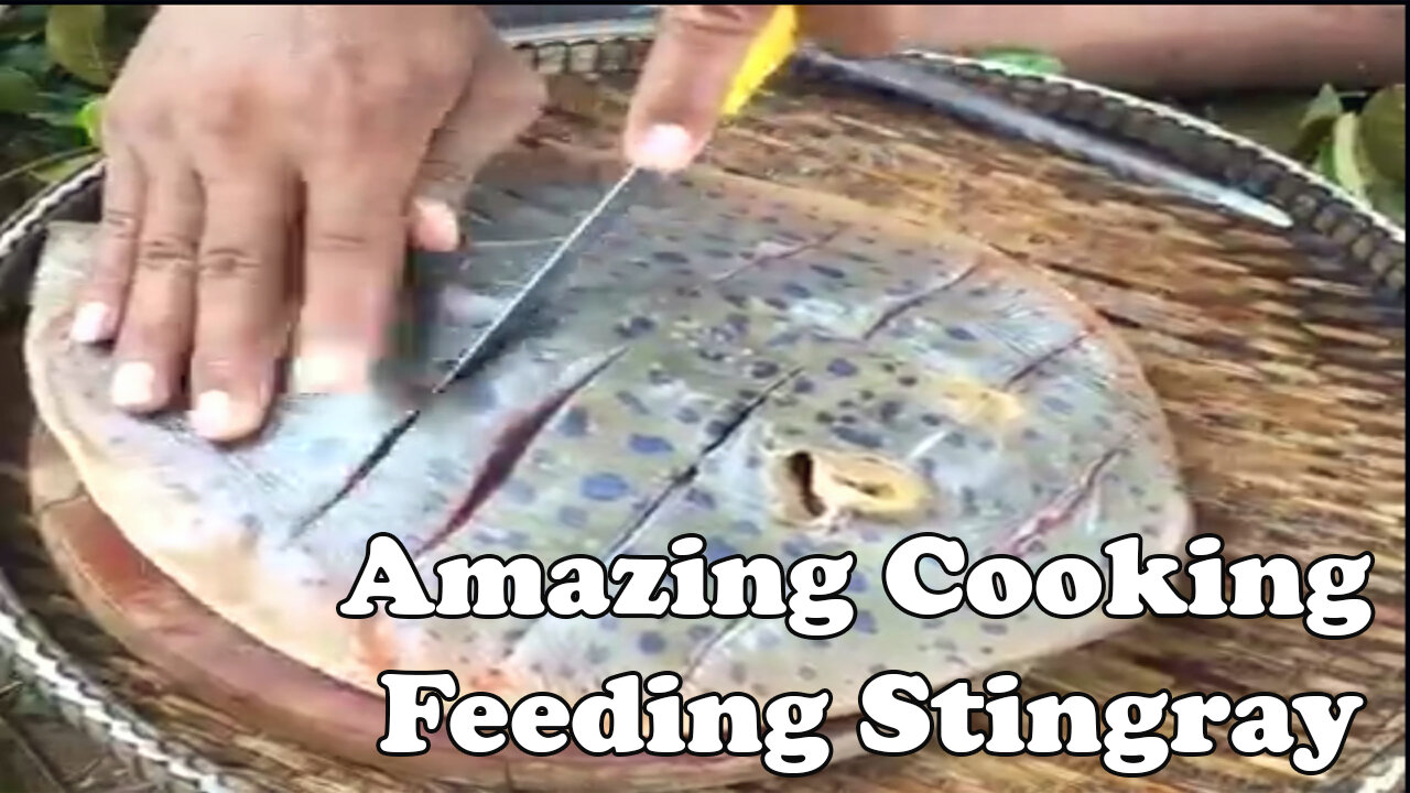 [Amazing Cooking] Feeding Stingray I Caught it here in the Forest