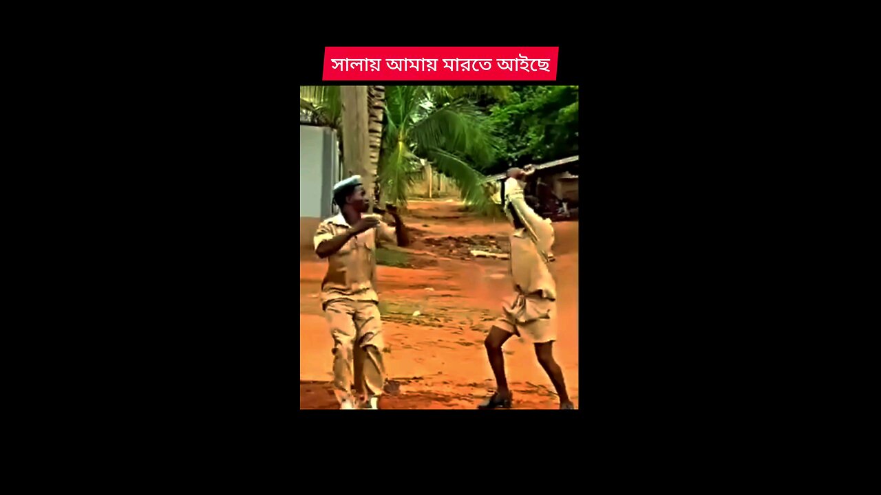 What do I do when they come to kill me? What do I do when they come to kill me?/আমাকে