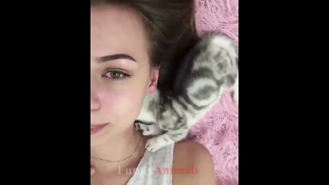 So many cute kittens videos compilation