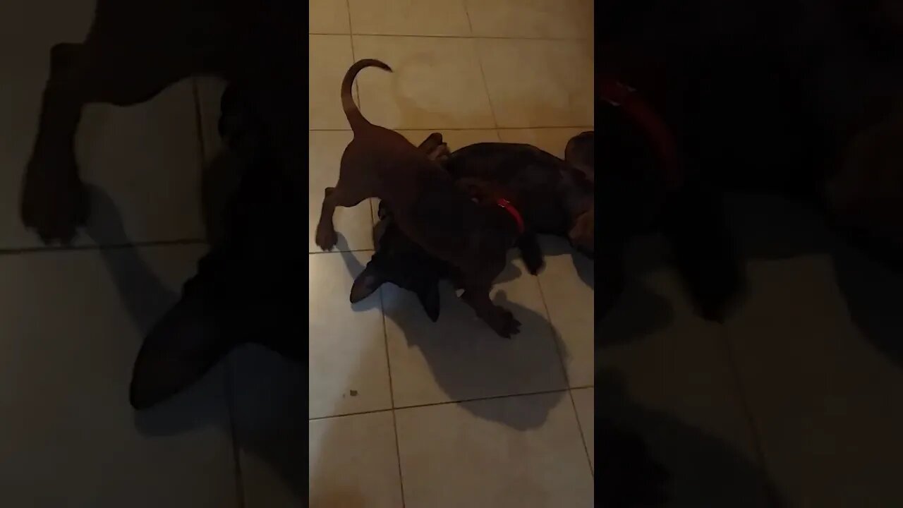 Jethro attacks Peter 57