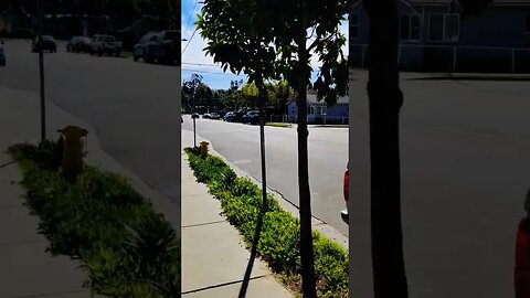 Walking through the streets of Santa Barbara, overnight stop on the way to Texas #shorts #vanlife