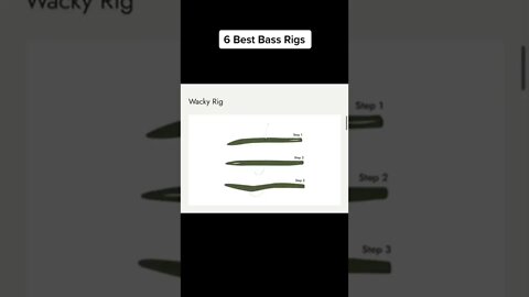 6 Best Bass Rigs