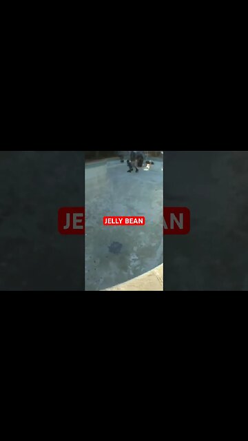 Best Pool in LA? #poolskateboarding #poolskating #skateboarding #tobyburger #independenttrucks