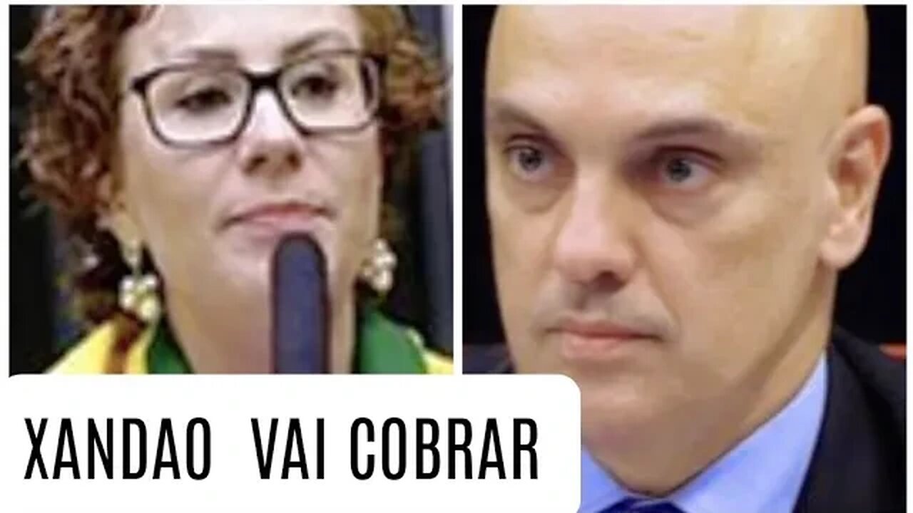 Alexandre de Moraes vai cobrar revelações sobre a deputada Zambelli