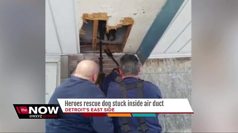 Detroit Pit Crew rescue two dogs stuck inside air duct at Detroit house