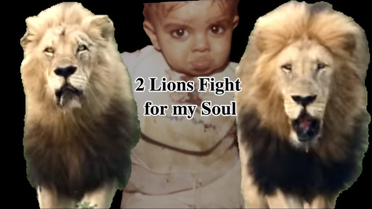 My dream of 2 lions