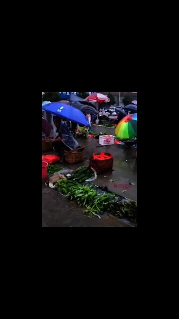 What the CCP's "Copper And Iron Walls" Look Like 「銅牆鐵壁」們的景況