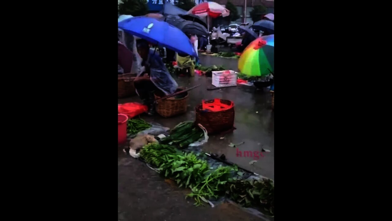 What the CCP's "Copper And Iron Walls" Look Like 「銅牆鐵壁」們的景況
