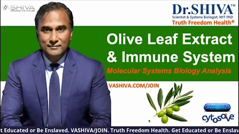 Dr.SHIVA LIVE: How Olive Leaf Extract Affects Immune System. A Molecular Systems Biology Analysis.